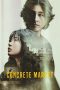 Nonton film Concrete Market (2025)